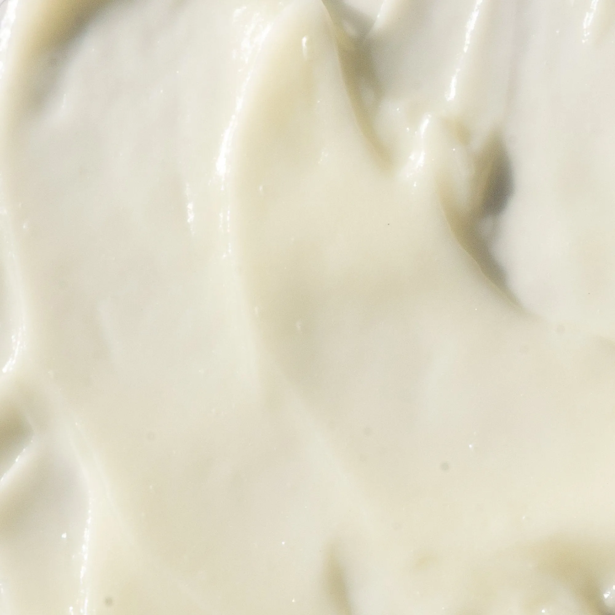 A Plus Longevity Complex