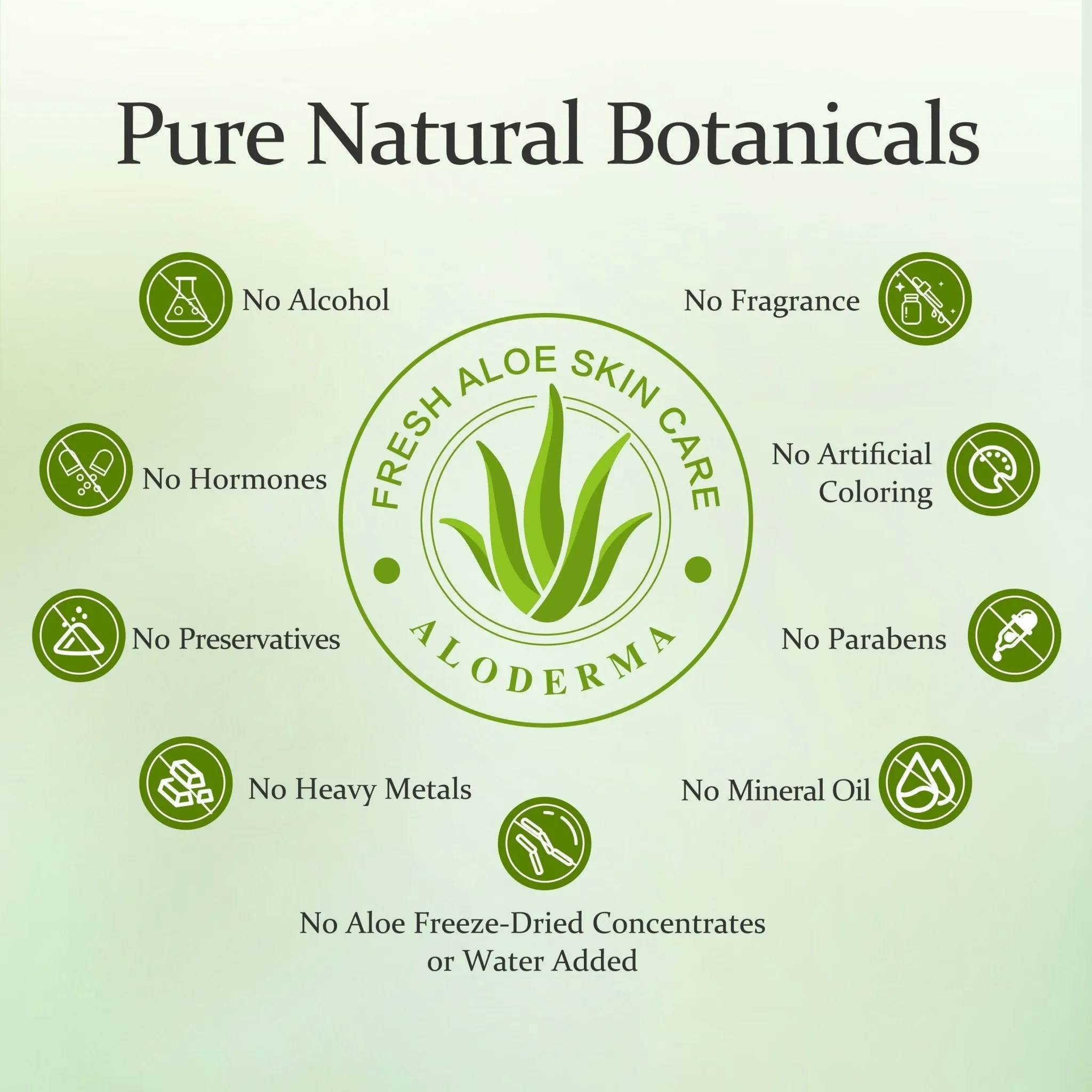 Aloe Vera Face Moisturizer | 3.5 oz