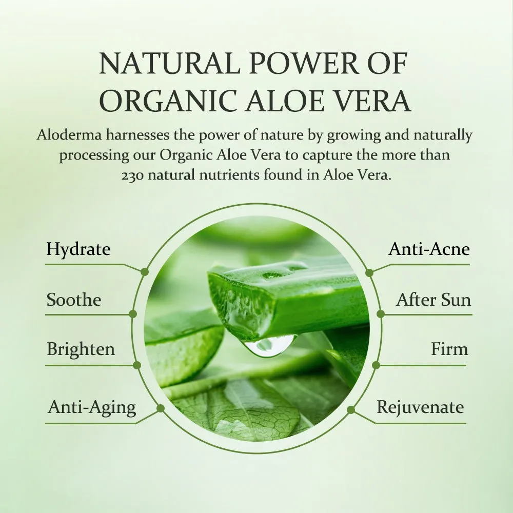 Aloe Vera Face Moisturizer | 3.5 oz