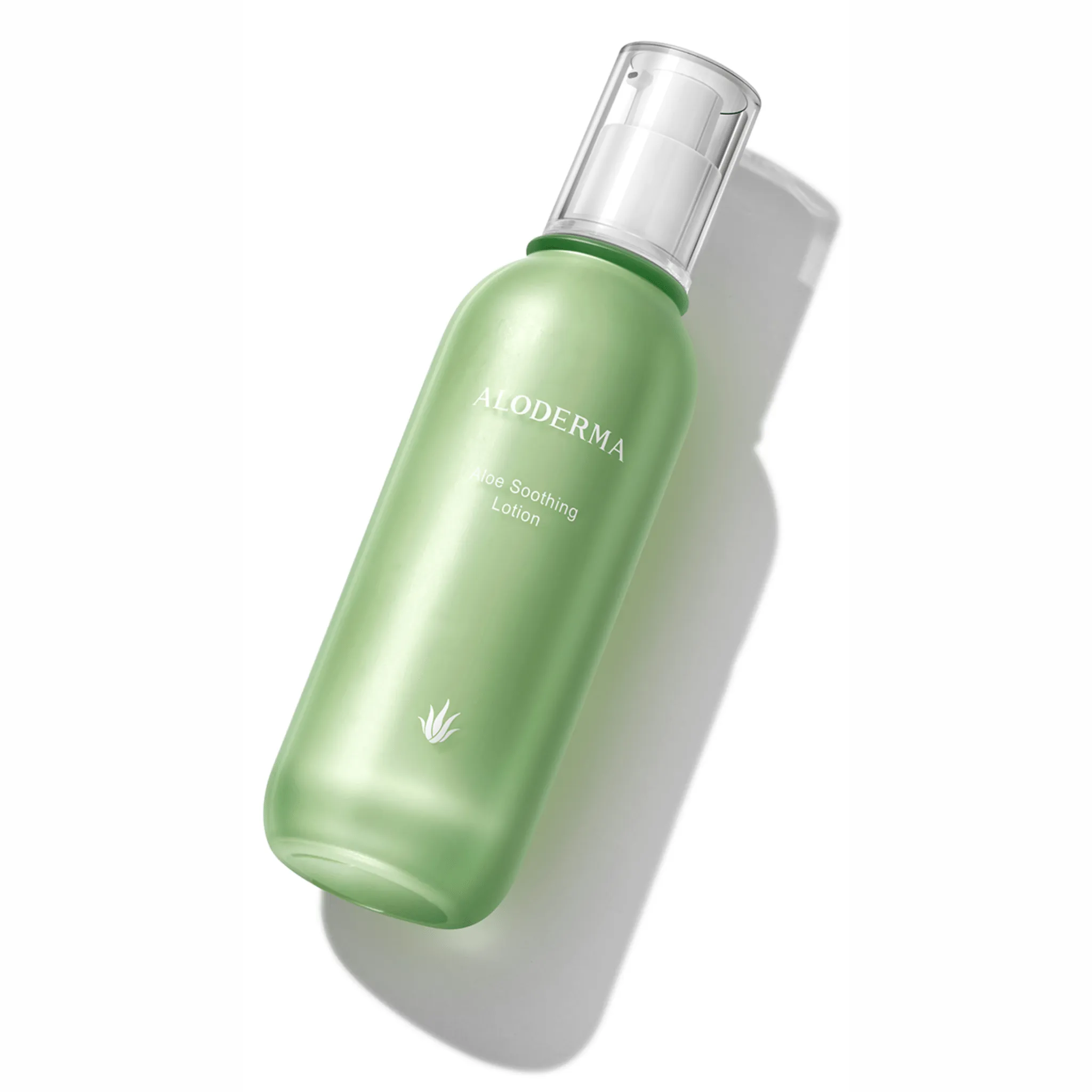 Aloe Vera Face Moisturizer | 3.5 oz