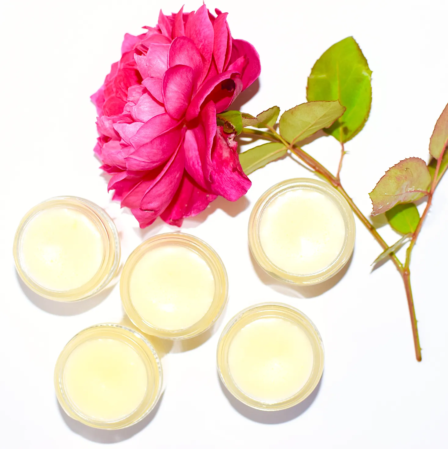 Beach Rose Beauty Cream