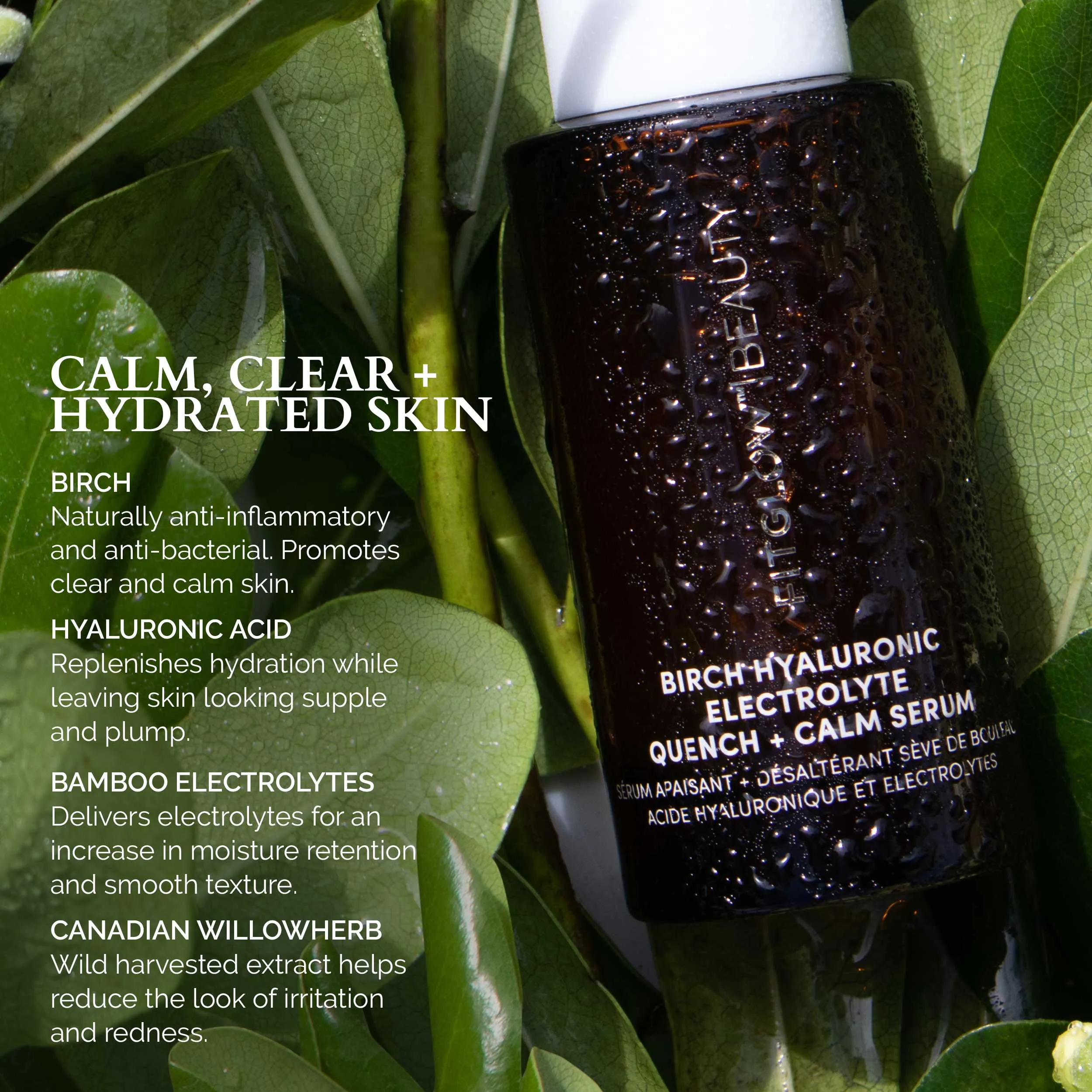 Birch Hyaluronic Electrolyte Quench   Calm Serum