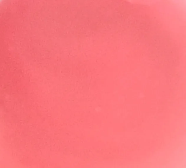 Black Cherry Flavored Lip Balm Kissing Stick