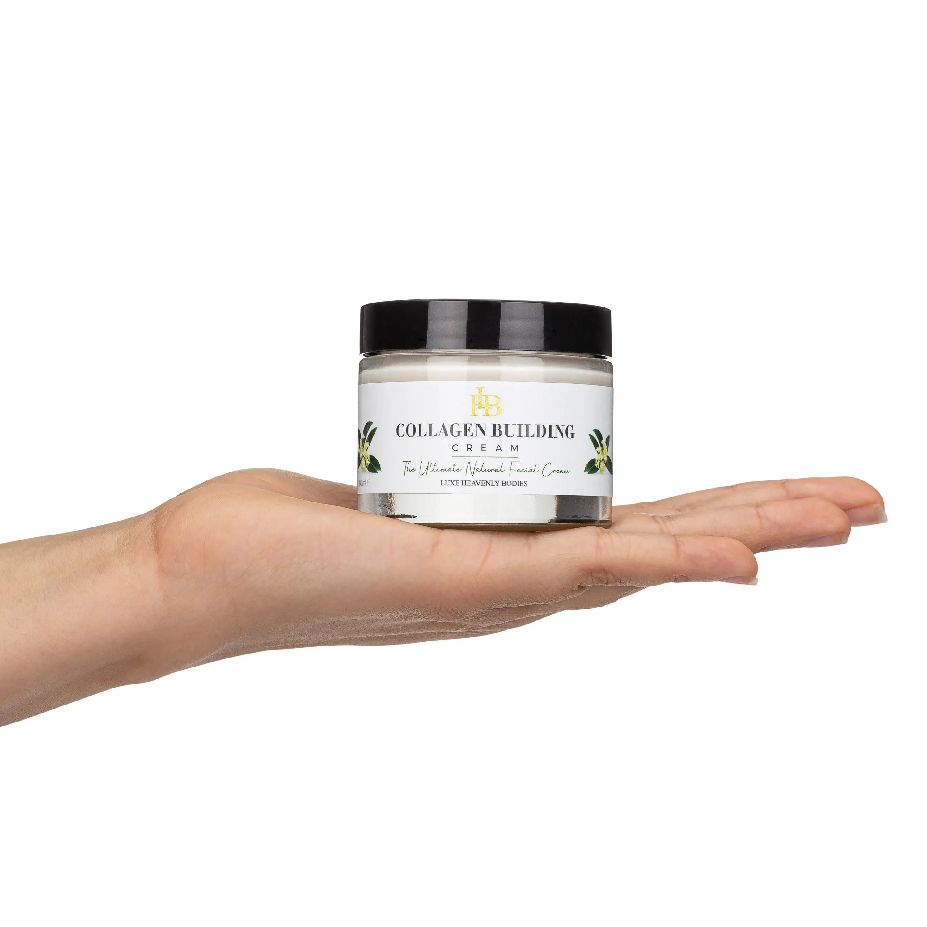 Collagen Building Cream