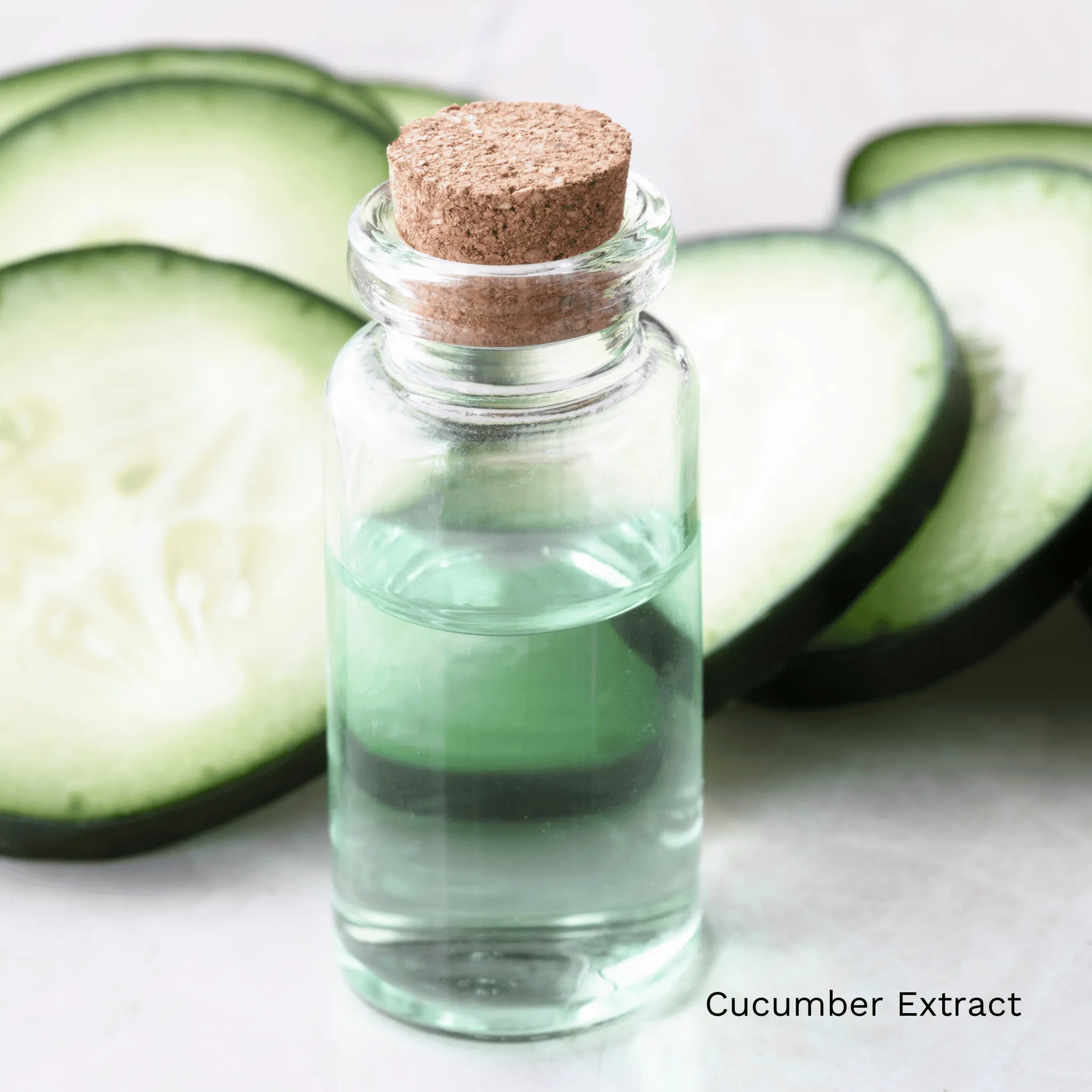 Cucumber   Watermelon Toner