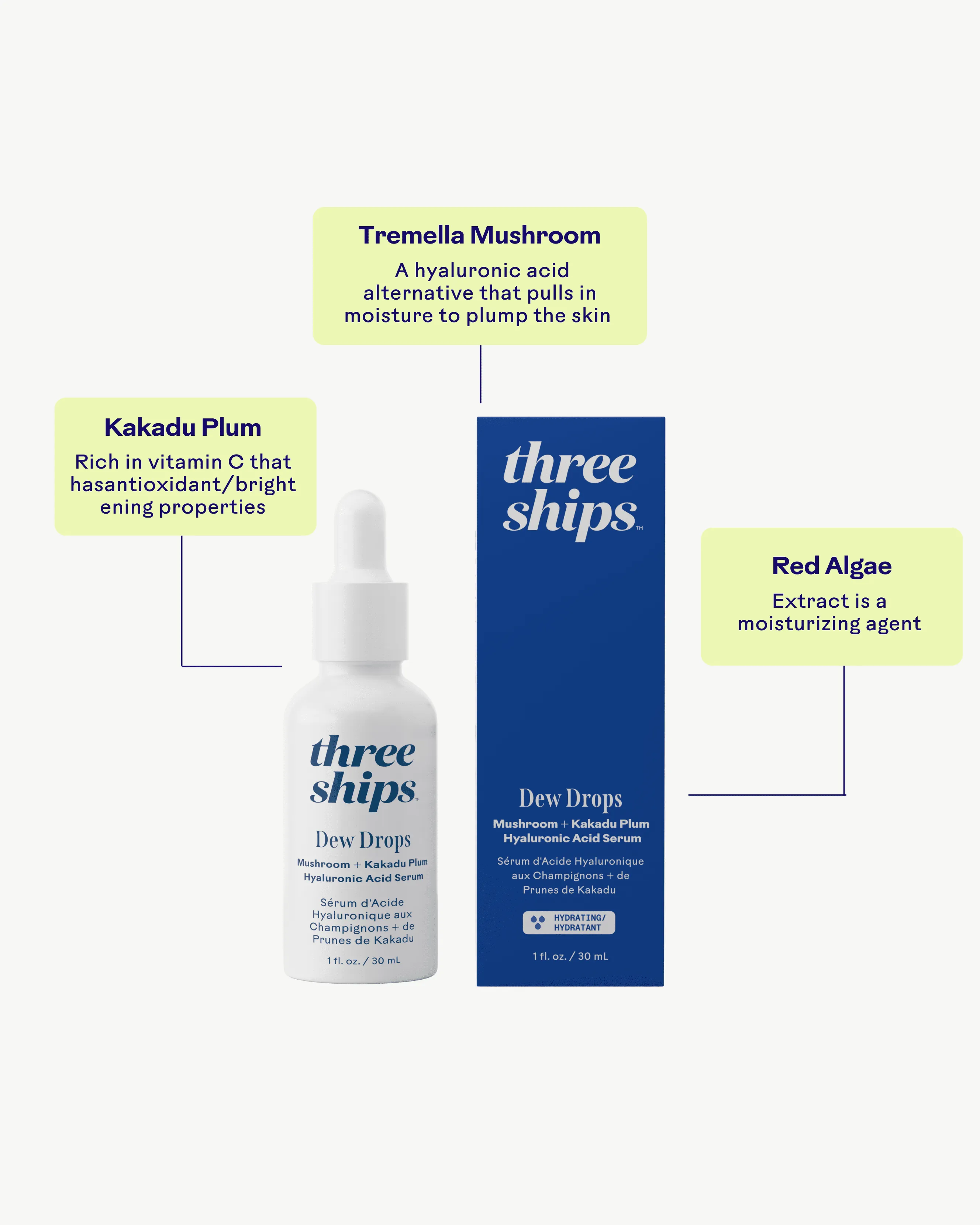 Dew Drops Mushroom Hyaluronic Acid   Vitamin C Serum