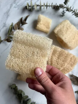 FACIAL LUFFA SPONGE, EXTRA SOFT, USA SUSTAINABLY GROWN - NEW!