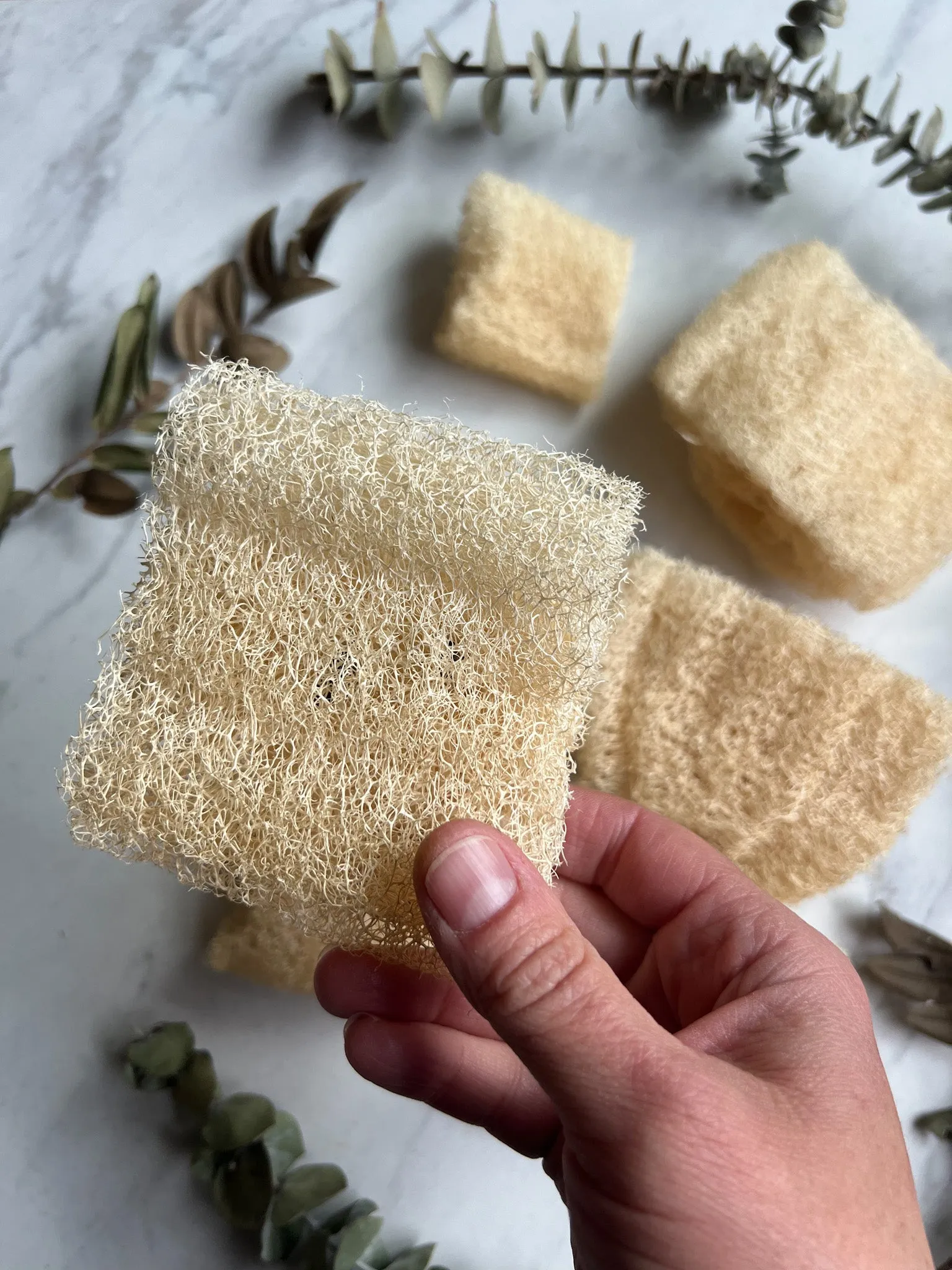 FACIAL LUFFA SPONGE, EXTRA SOFT, USA SUSTAINABLY GROWN - NEW!
