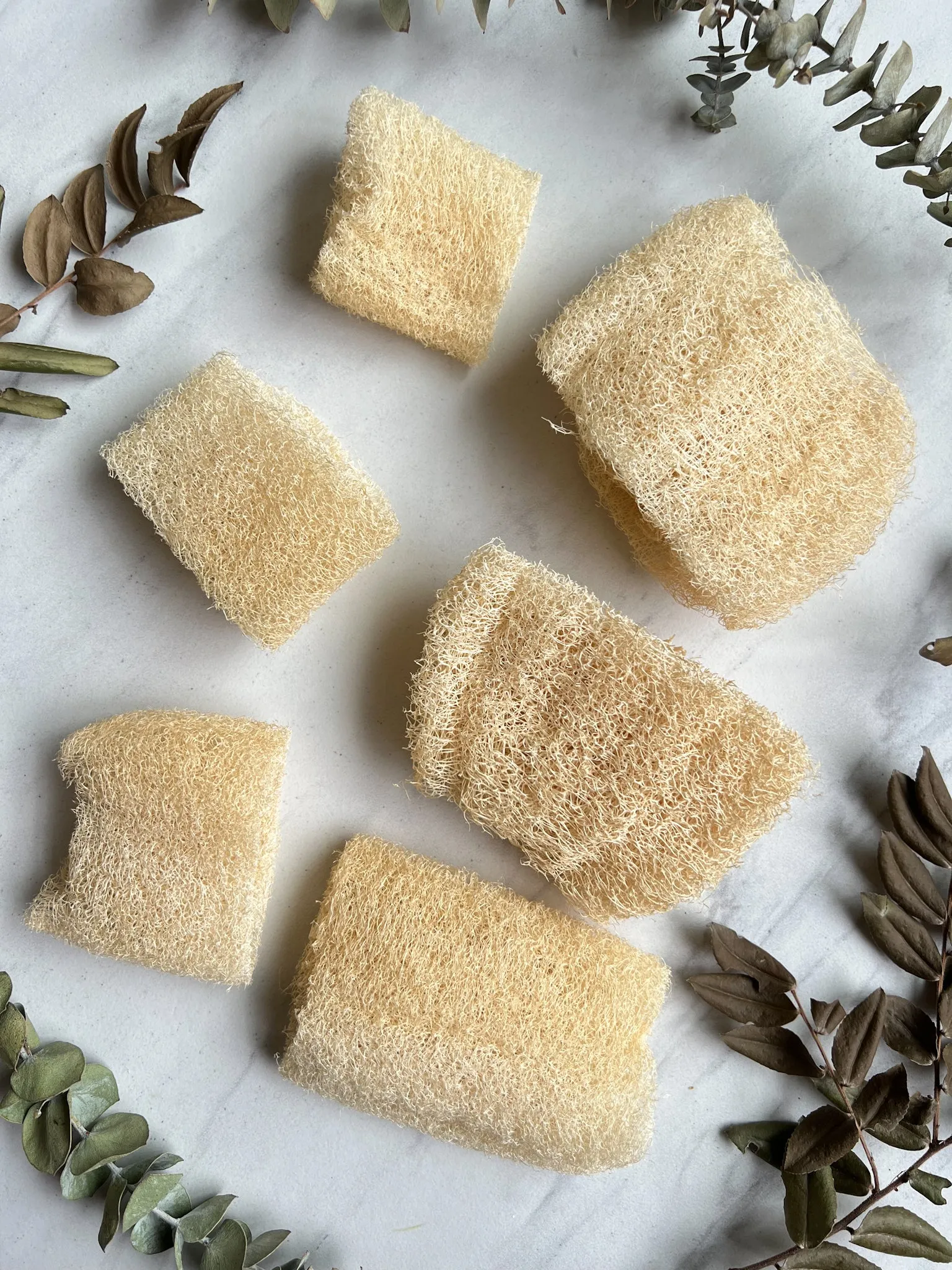 FACIAL LUFFA SPONGE, EXTRA SOFT, USA SUSTAINABLY GROWN - NEW!