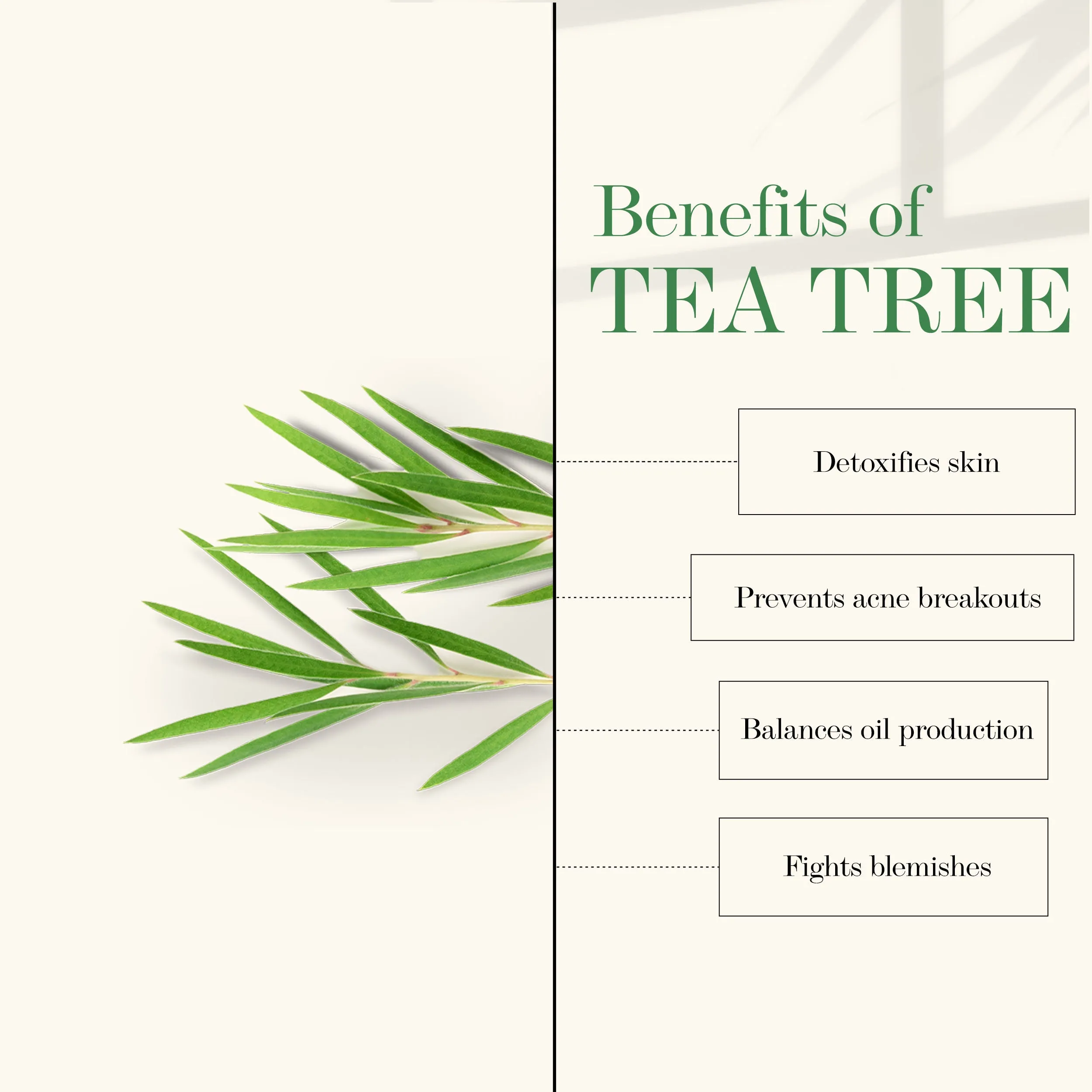Good Vibes Tea Tree Cleansing Toner | Hydrating, Anti-Acne | With Green Tea | No Alcohol, No Parabens, No Sulphates, No Mineral Oil (120 ml)
