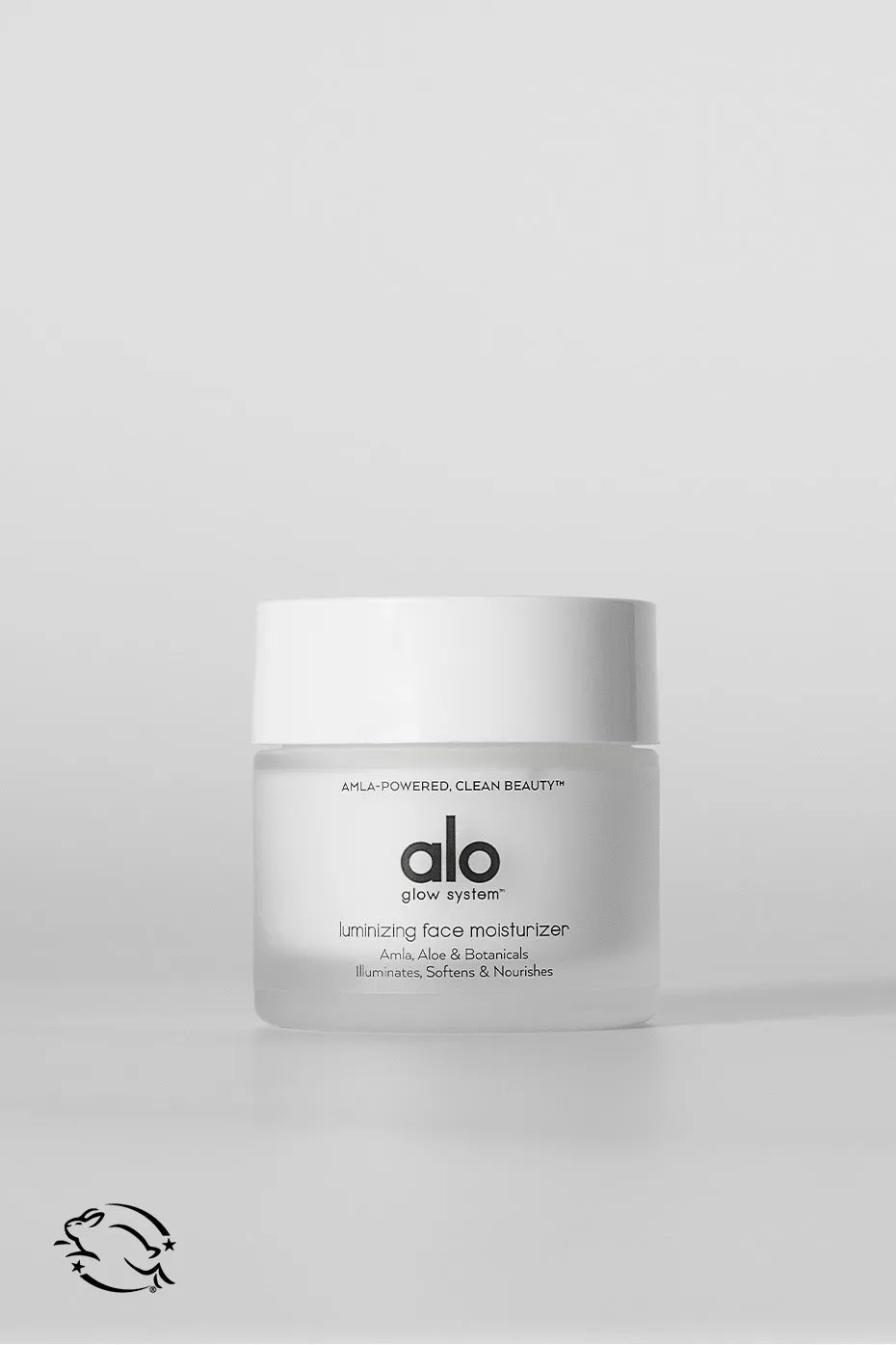 Luminizing Face Moisturizer
