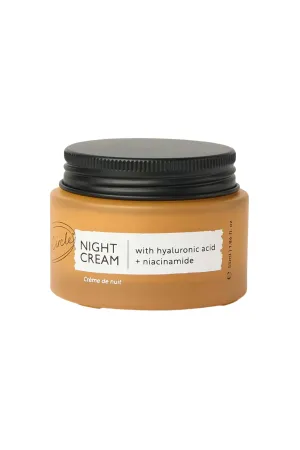 Night Cream with Hyaluronic Acid   Niacinamide