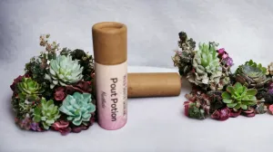 Pout Potion Tinted Lip Balm