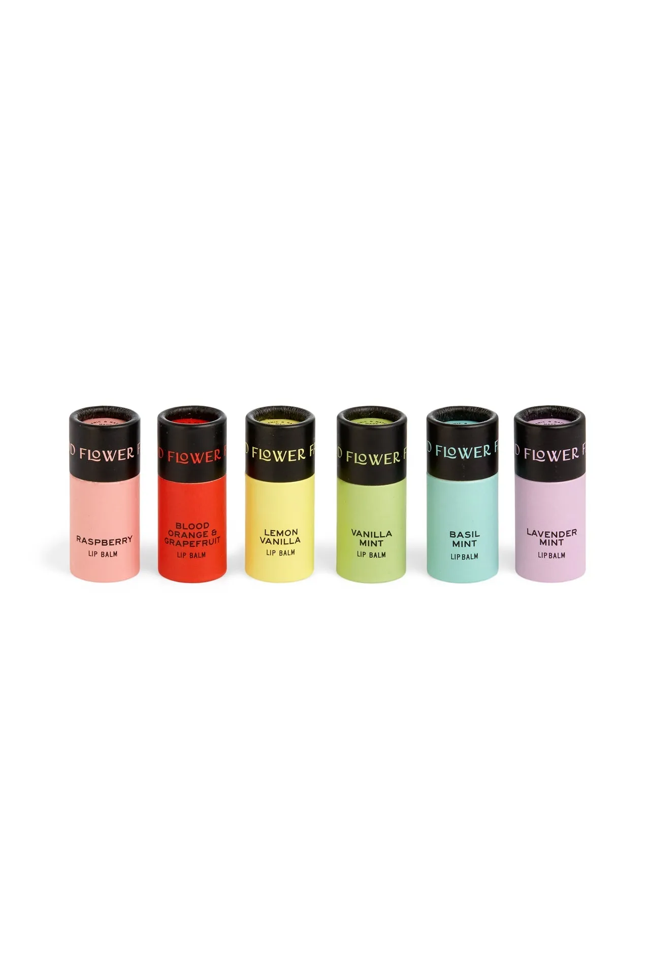 Rainbow Organic Lip Balm Set of 6