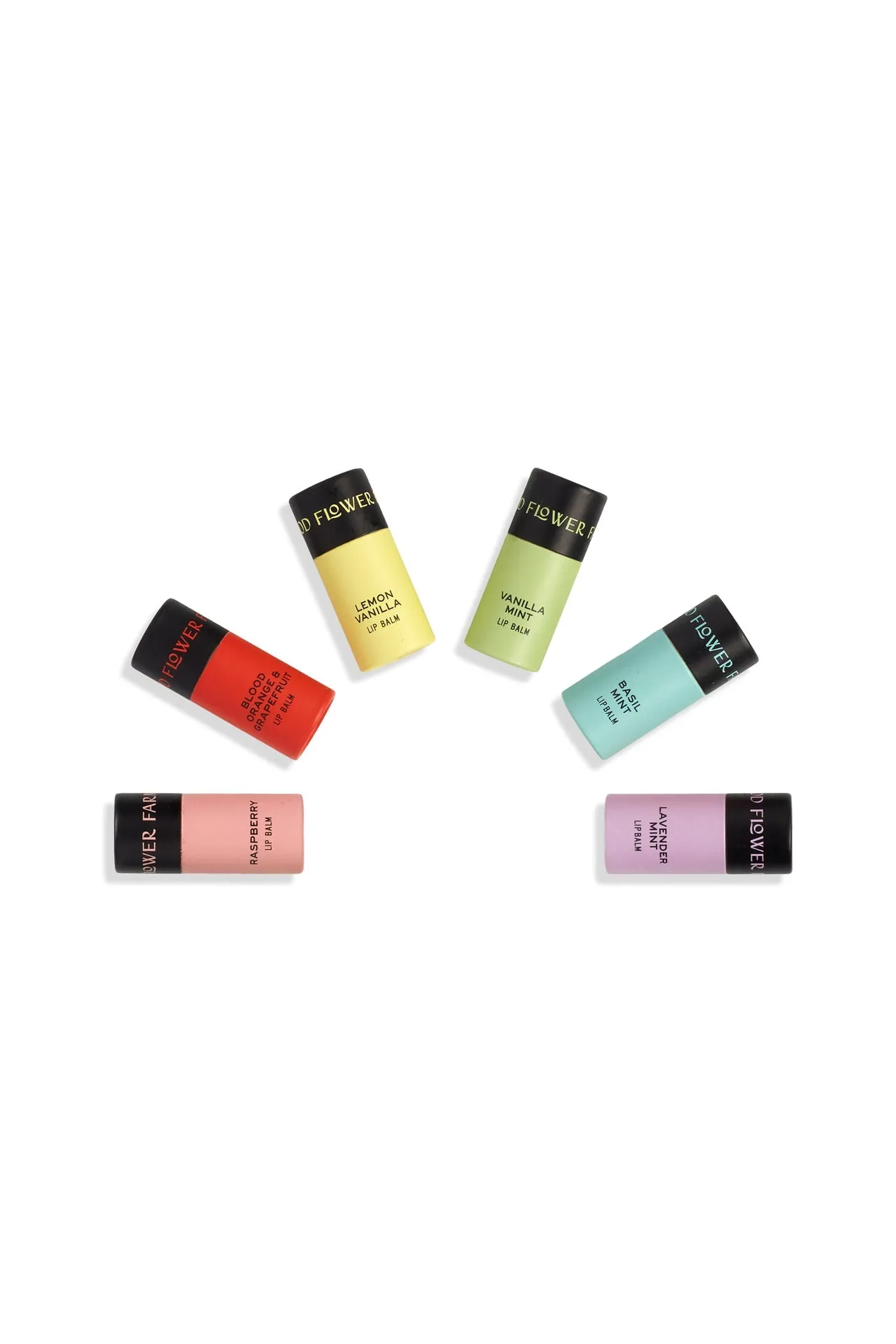 Rainbow Organic Lip Balm Set of 6
