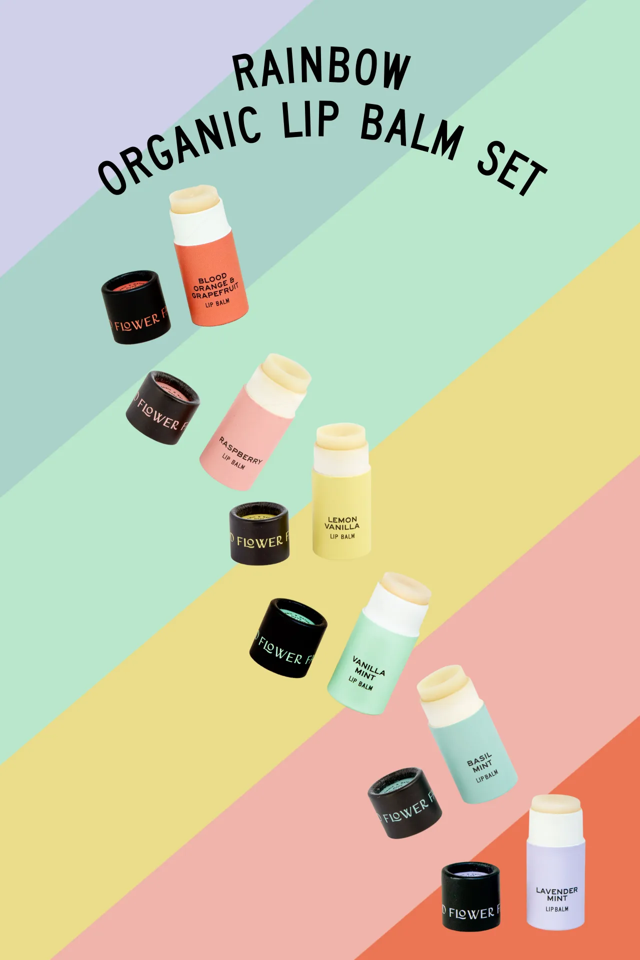 Rainbow Organic Lip Balm Set of 6