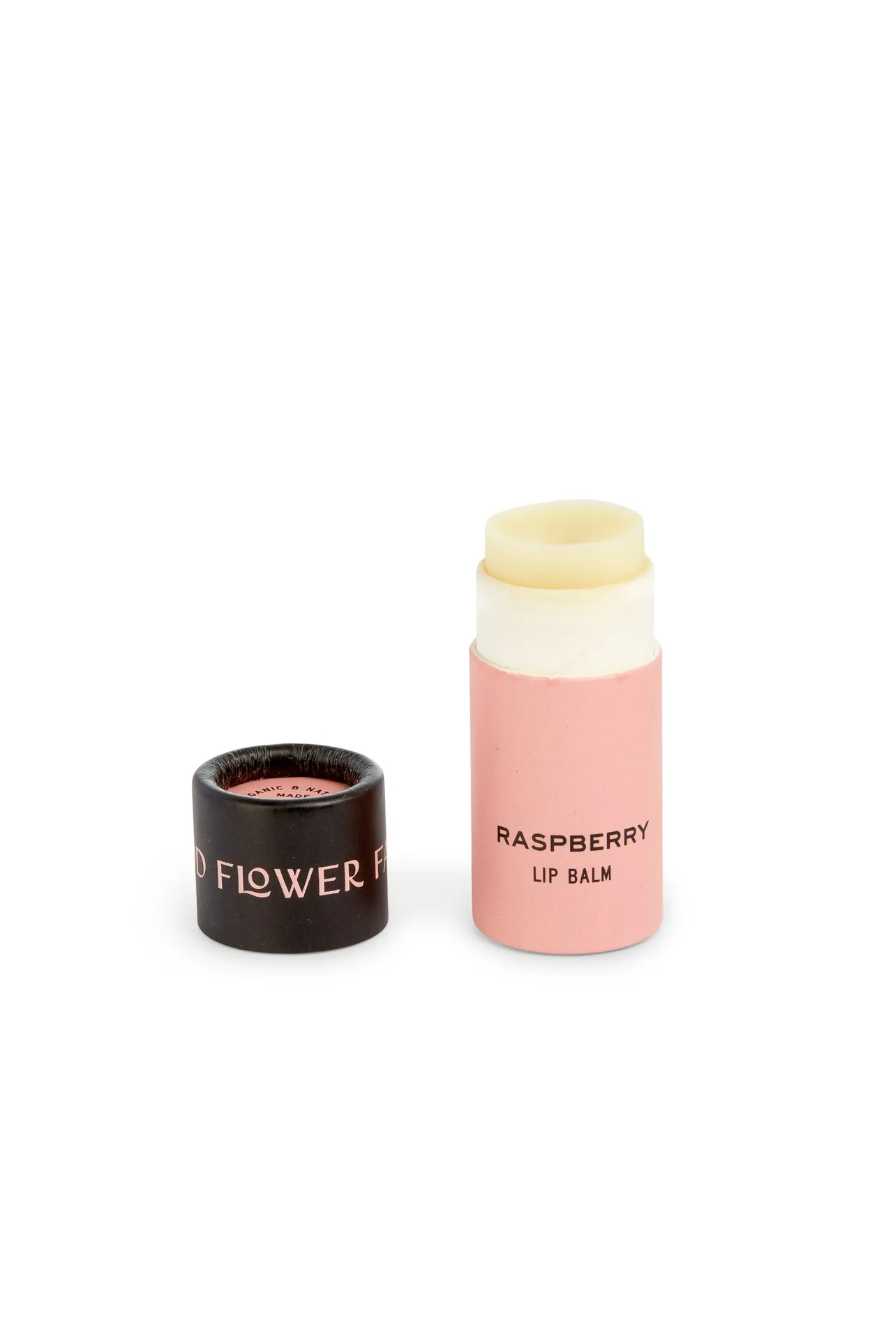 Rainbow Organic Lip Balm Set of 6