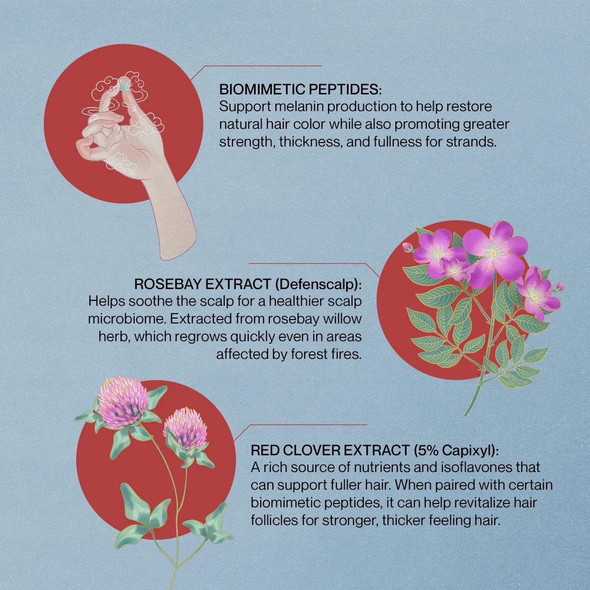 Saisei Essence Treatment Trio