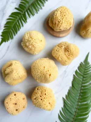 SILK FACIAL SEA SPONGE - CARIBBEAN