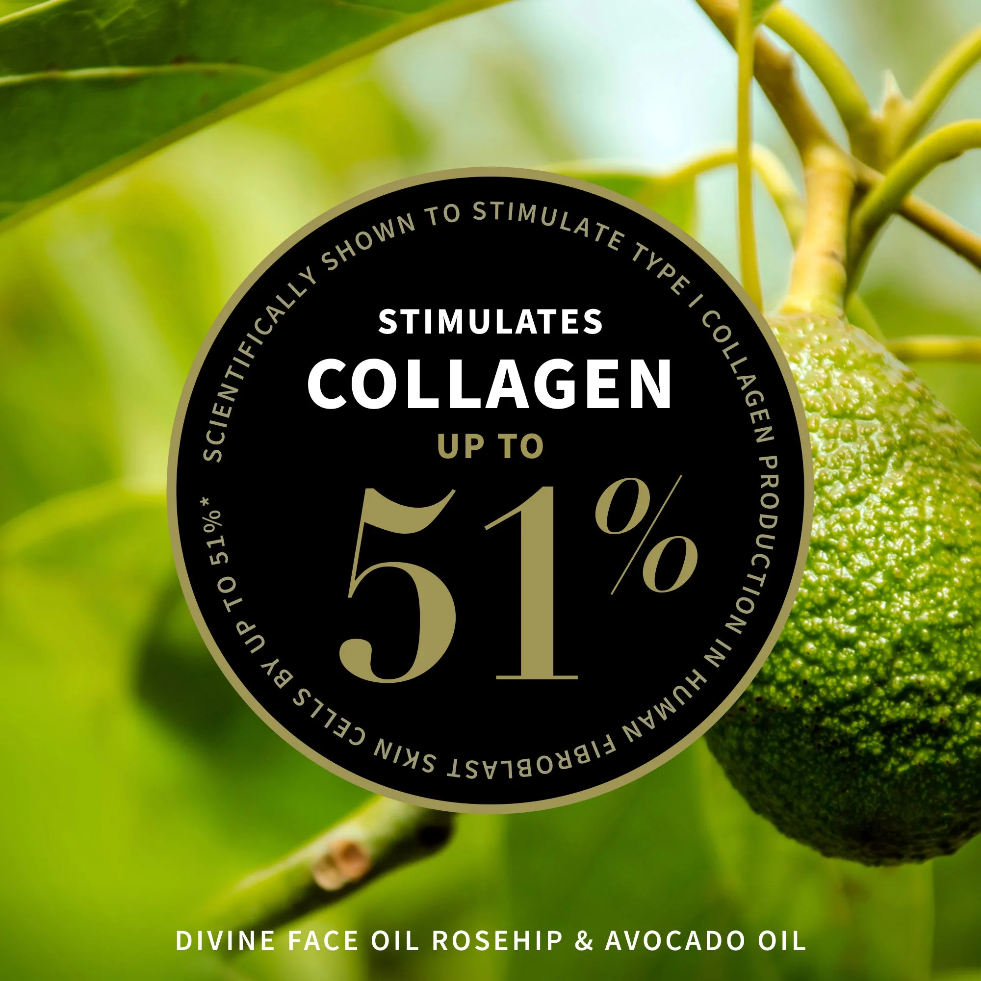 Skin-Nourishing Results Set
