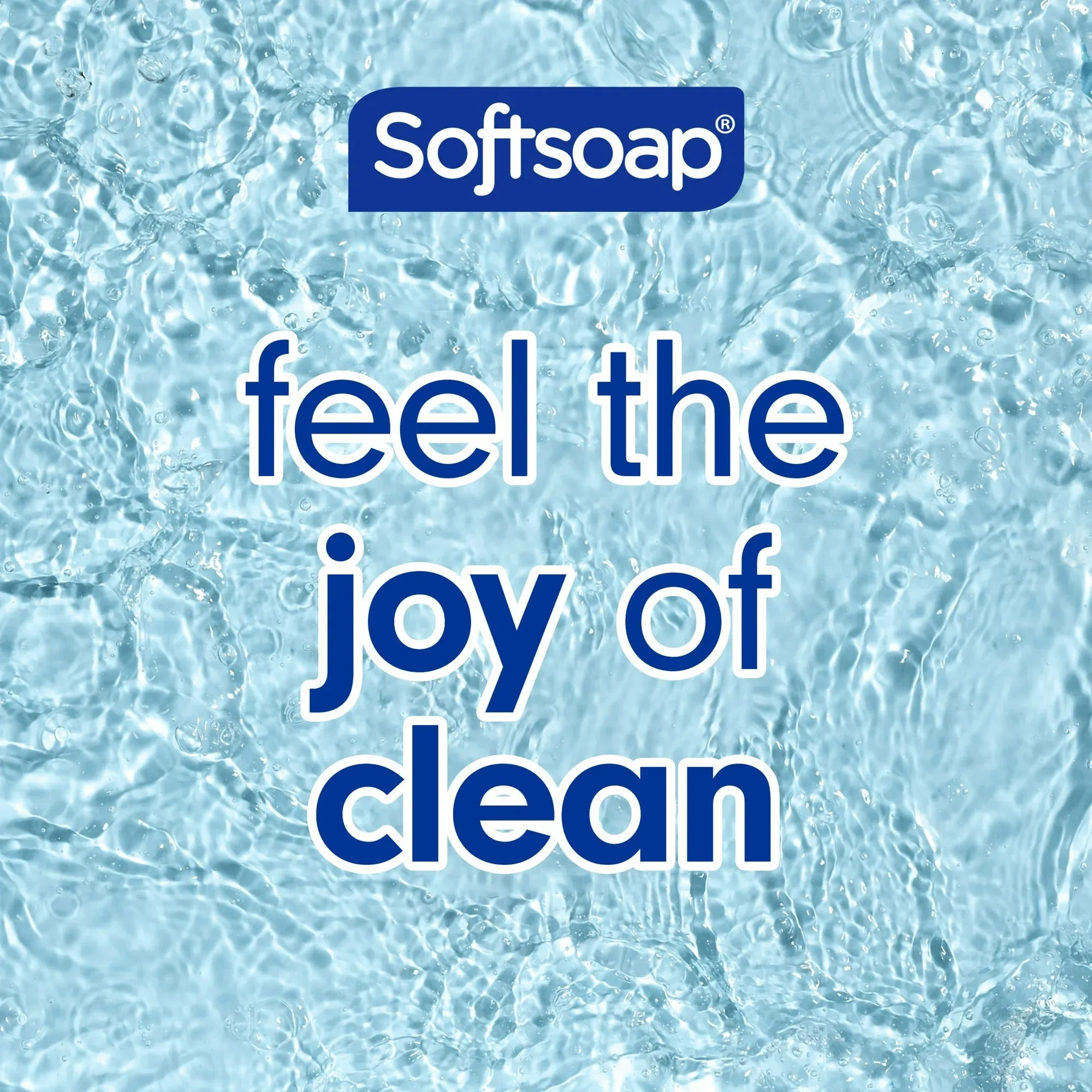 Softsoap Moisturizing Body Wash, Shea & Almond Oil - 20 Fluid Ounce