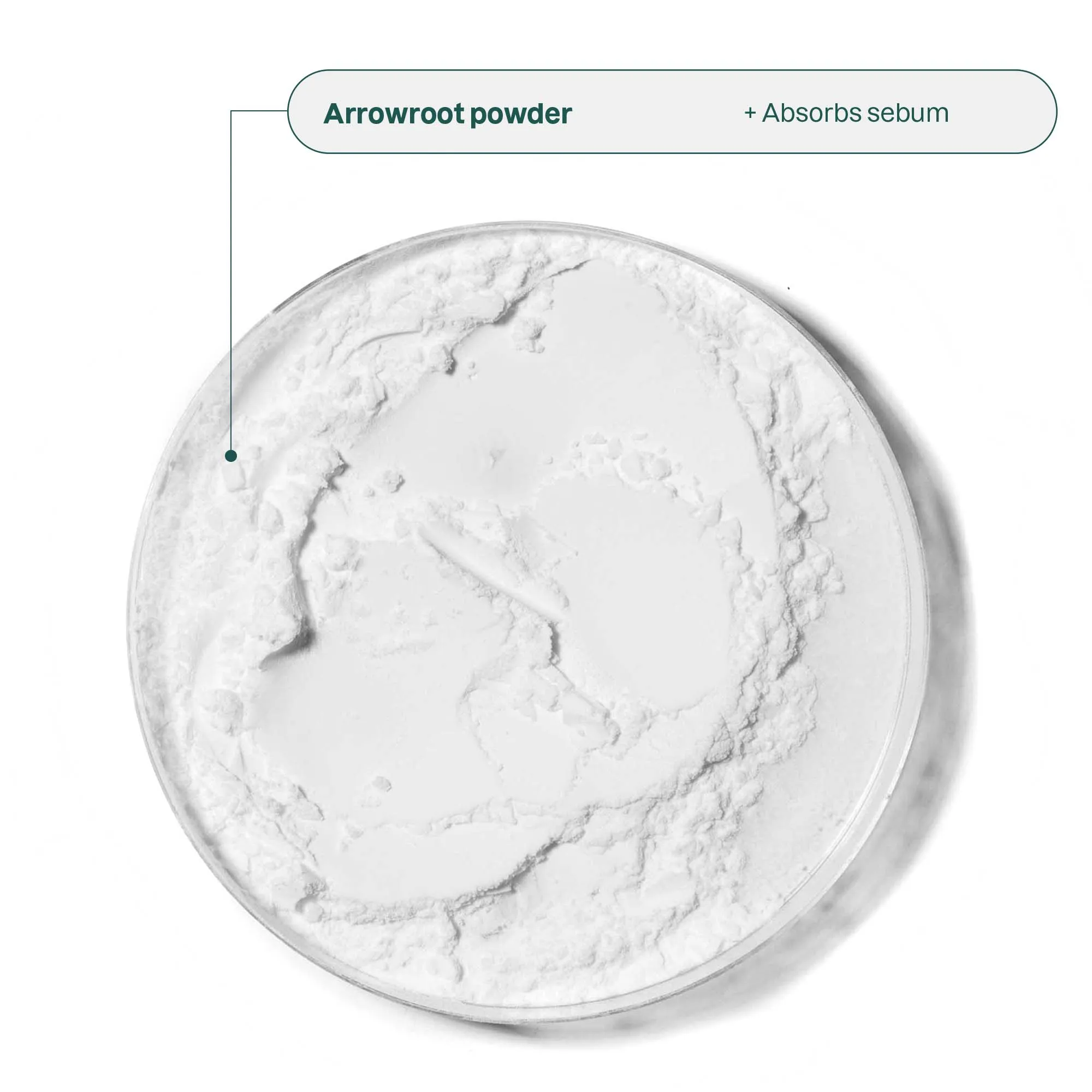 Solid Mattifying Face Cream for Combination Skin : Oceanly - Phyto-Matte