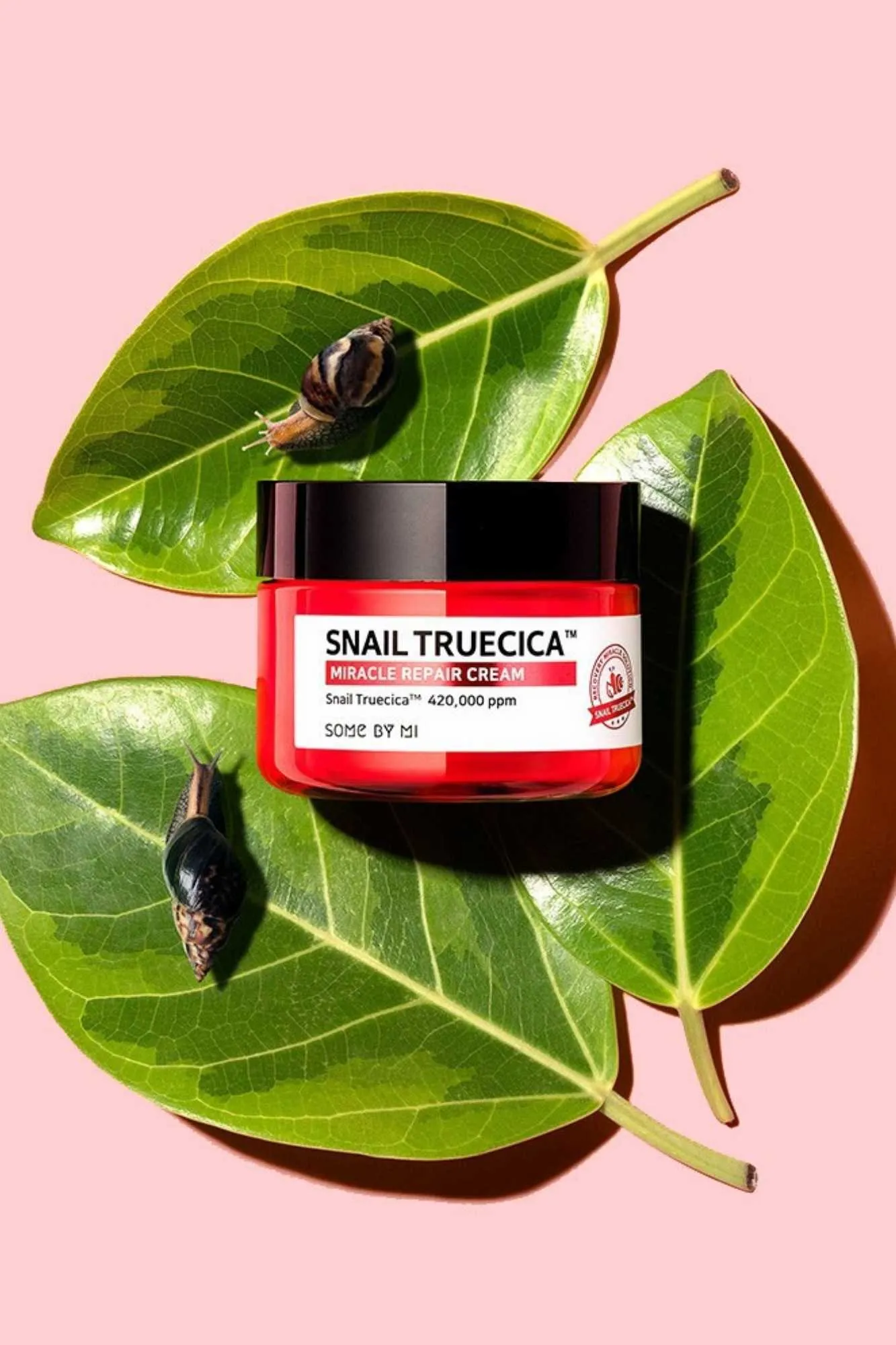 Some By Mi - Snail Truecica Miracle Repair Cream - 60g