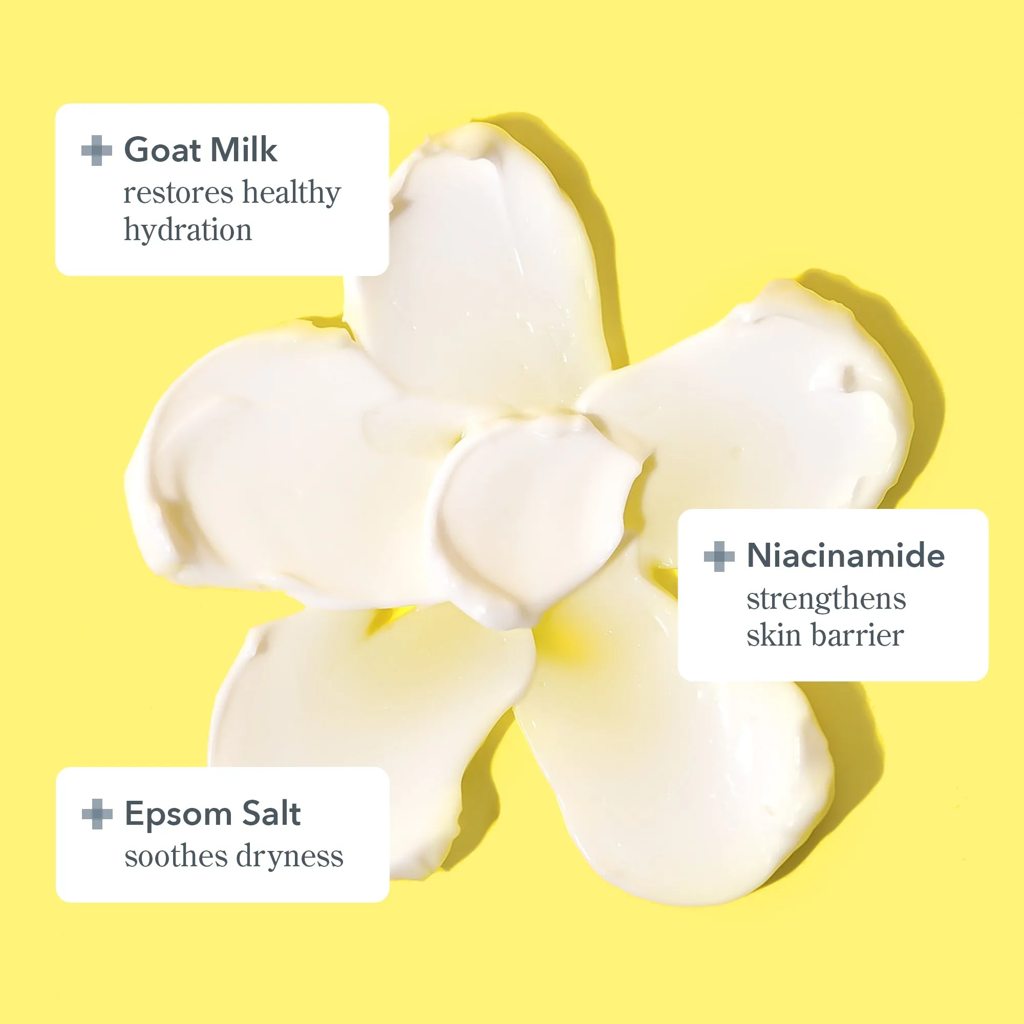 Starter Set: Oily Skin