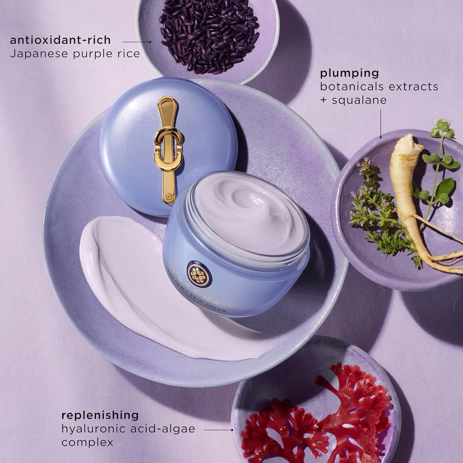 TATCHA The Dewy Skin Cream Face Moisturizer 50ml