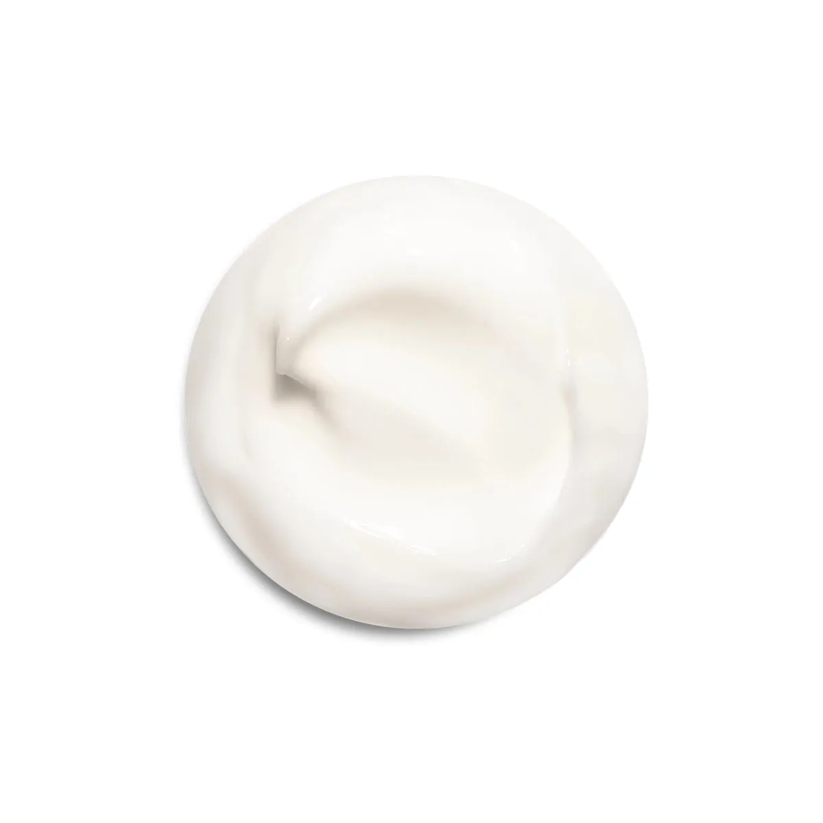 The Day Moisturizer