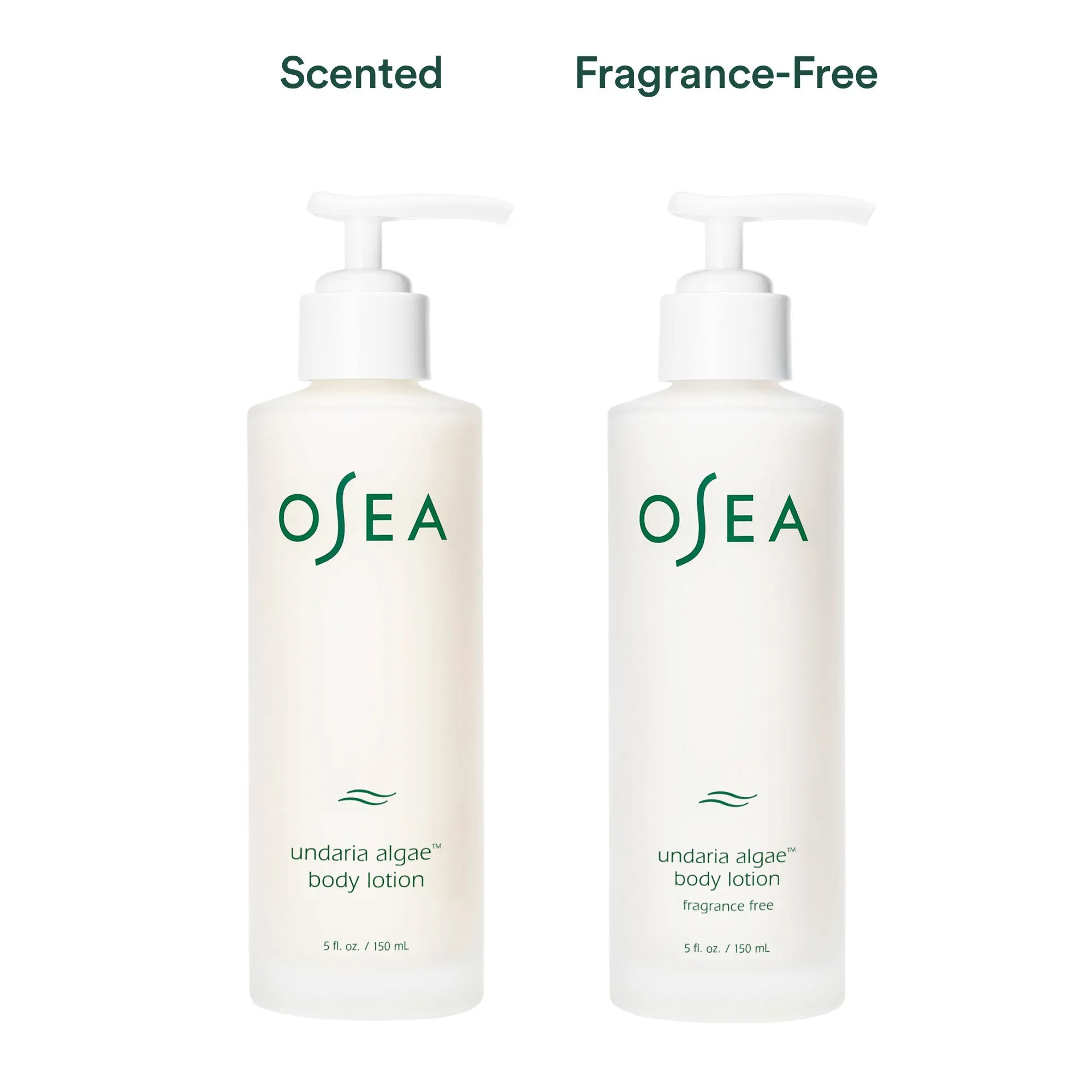 Undaria Algae Body Lotion