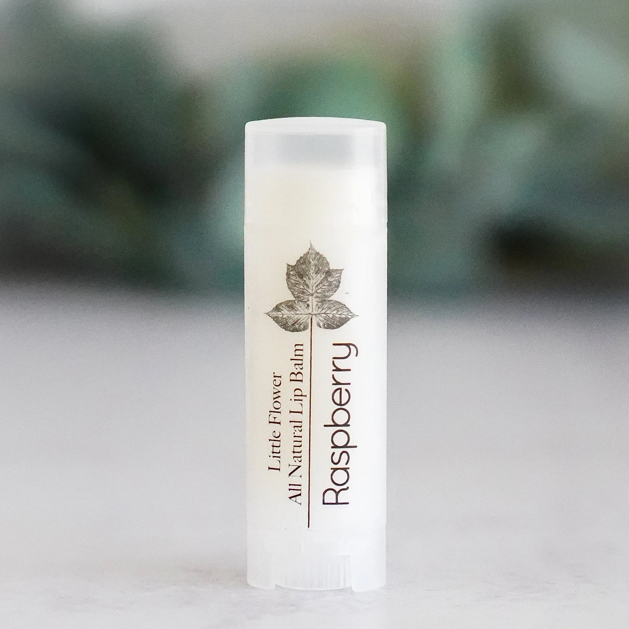 Vanilla Mint Lip Balm