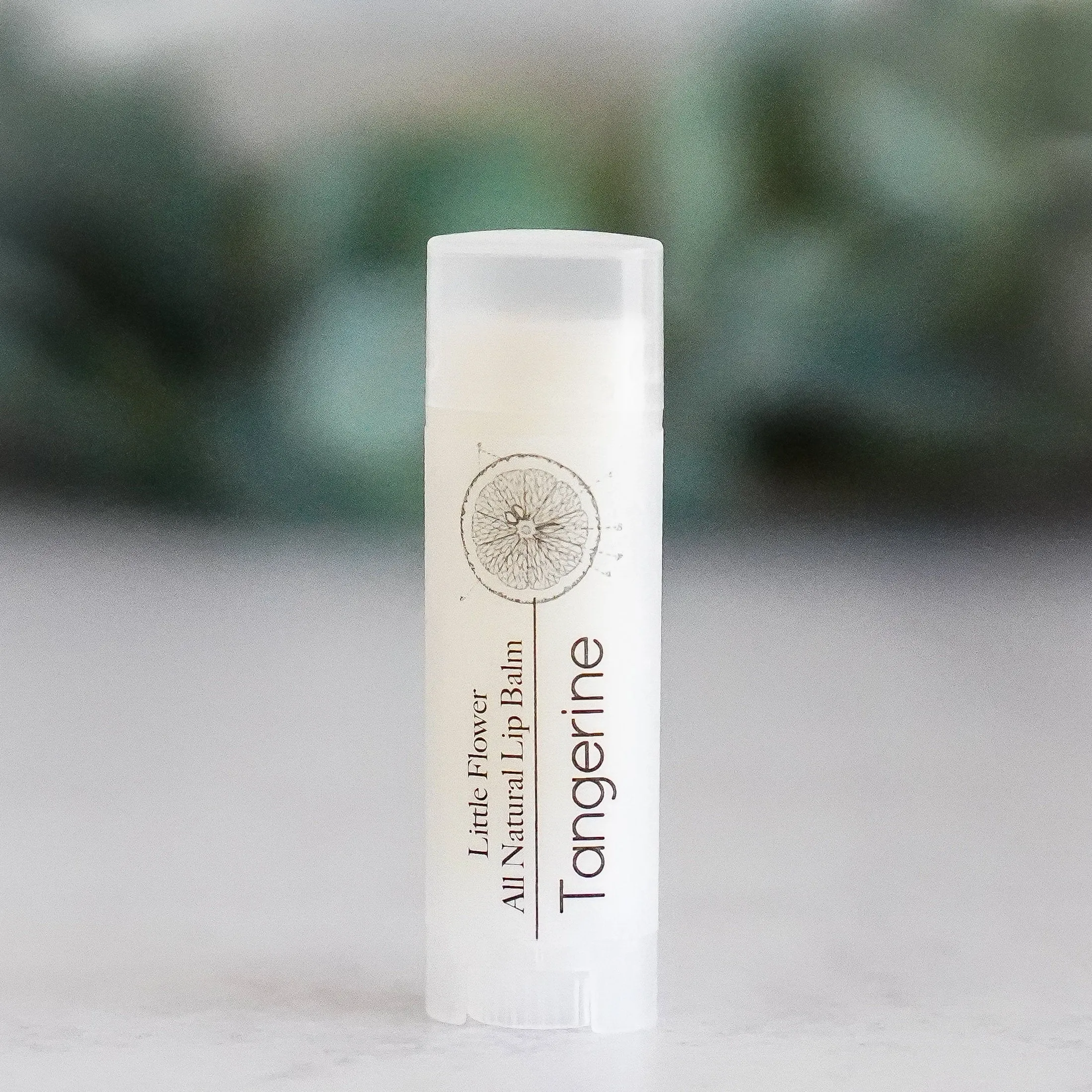 Vanilla Mint Lip Balm